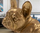 Detailansicht der Deko Figur Bull Frances in gold